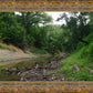 The Creek_Hauns Mill