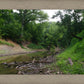 The Creek_Hauns Mill