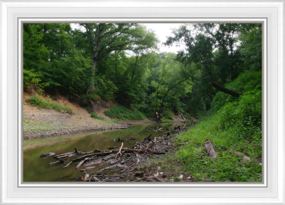The Creek_Hauns Mill