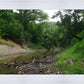 The Creek_Hauns Mill