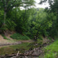 The Creek_Hauns Mill