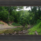 The Creek_Hauns Mill