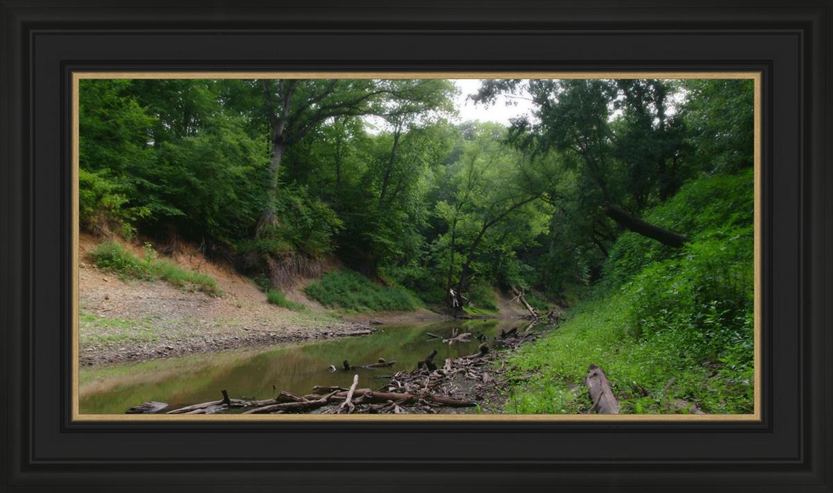 The Creek_Hauns Mill