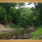 The Creek_Hauns Mill