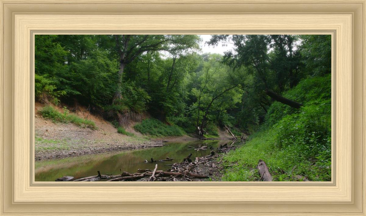 The Creek_Hauns Mill