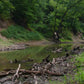 The Creek_Hauns Mill