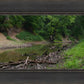 The Creek_Hauns Mill