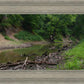 The Creek_Hauns Mill