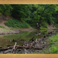 The Creek_Hauns Mill