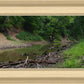 The Creek_Hauns Mill