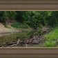 The Creek_Hauns Mill