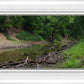 The Creek_Hauns Mill