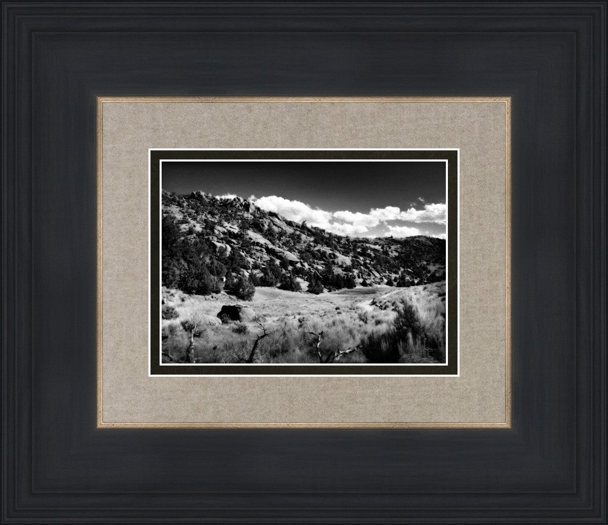 The Cove_Martins Cove