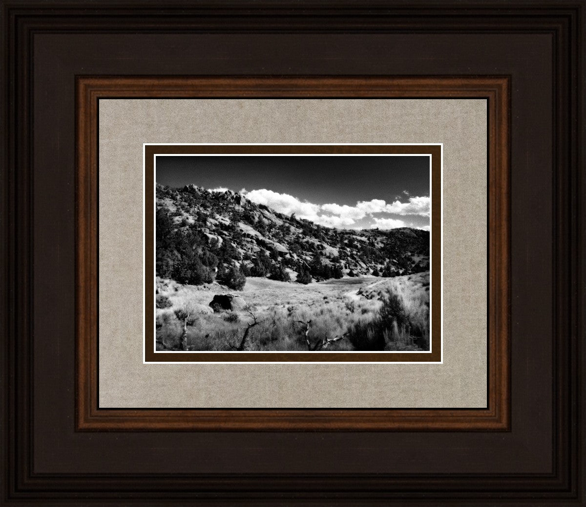 The Cove_Martins Cove