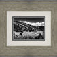 The Cove_Martins Cove