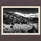 The Cove_Martins Cove