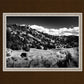 The Cove_Martins Cove