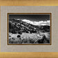 The Cove_Martins Cove