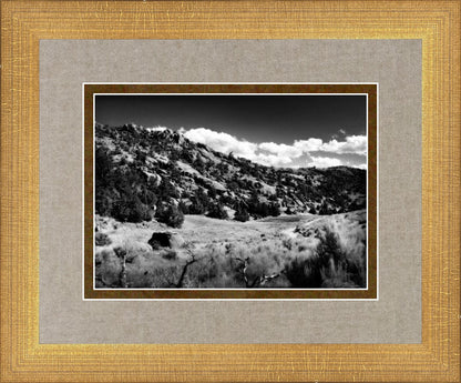 The Cove_Martins Cove