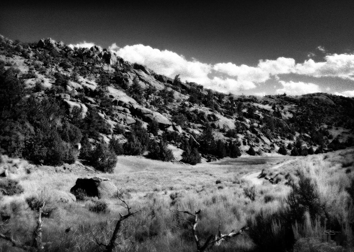 The Cove_Martins Cove