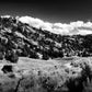 The Cove_Martins Cove