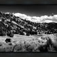 The Cove_Martins Cove