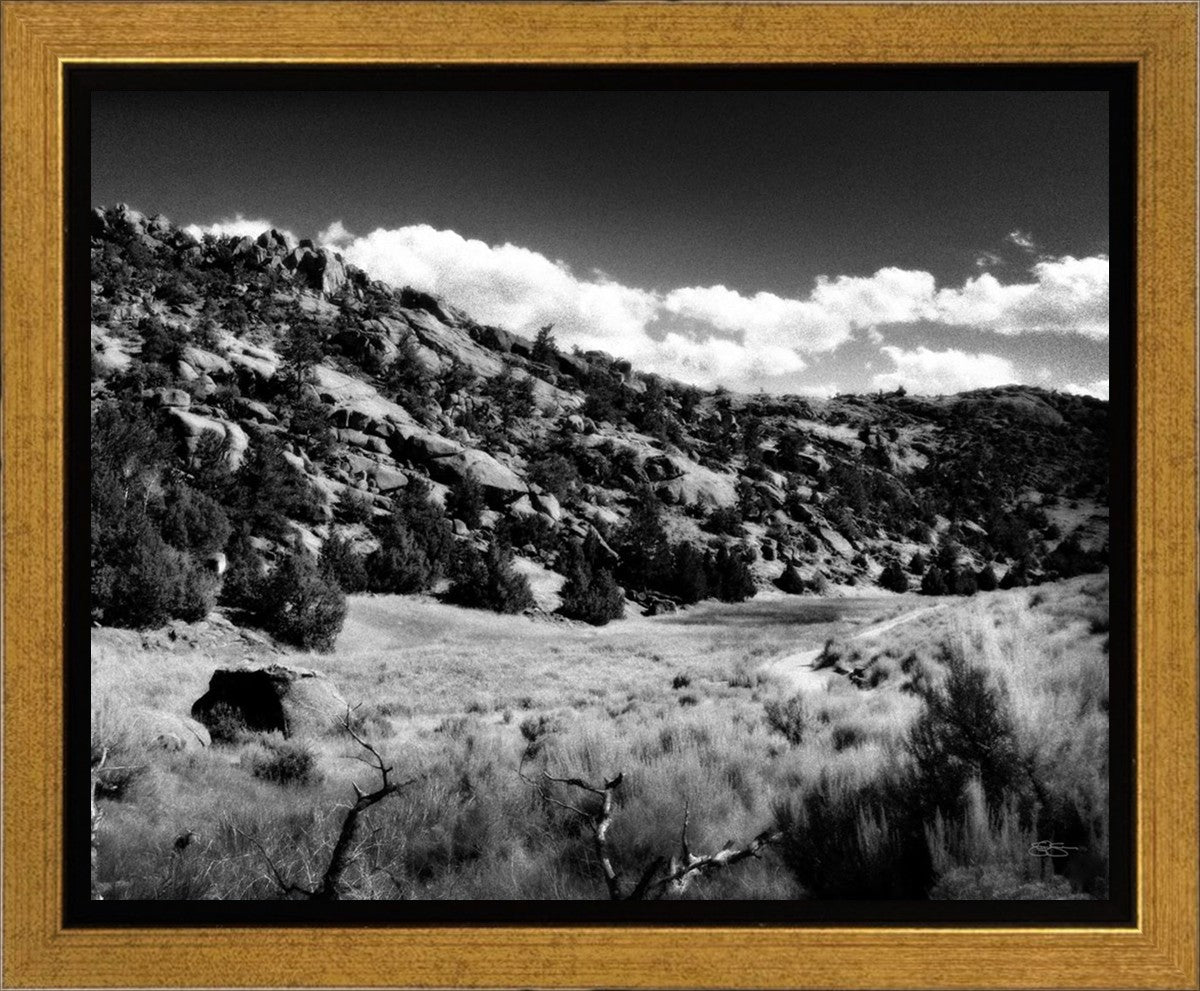 The Cove_Martins Cove