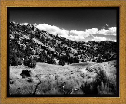 The Cove_Martins Cove