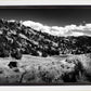 The Cove_Martins Cove