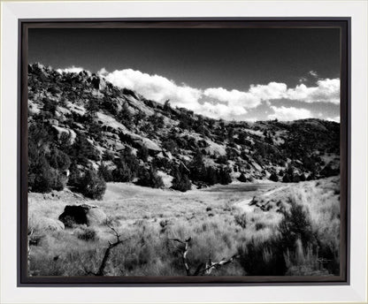 The Cove_Martins Cove