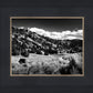 The Cove_Martins Cove