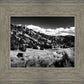 The Cove_Martins Cove