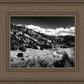 The Cove_Martins Cove