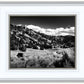 The Cove_Martins Cove