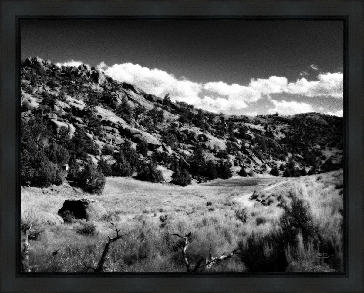 The Cove_Martins Cove