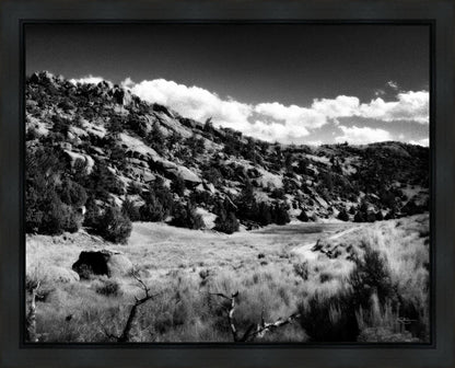 The Cove_Martins Cove