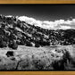 The Cove_Martins Cove