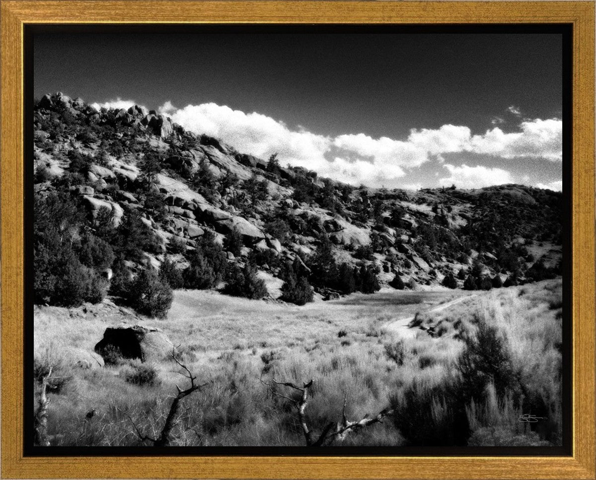 The Cove_Martins Cove