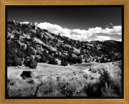 The Cove_Martins Cove