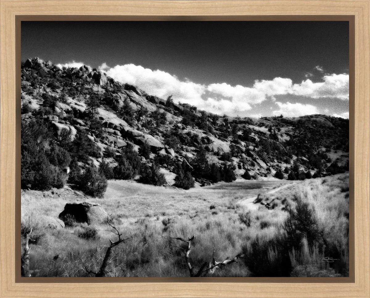 The Cove_Martins Cove