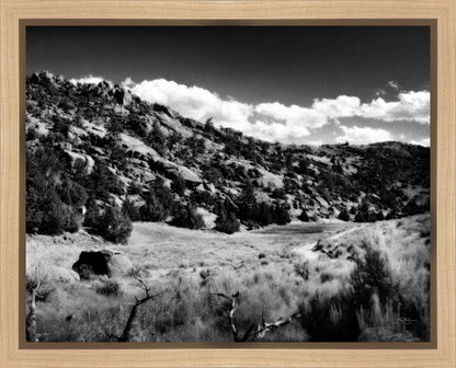 The Cove_Martins Cove