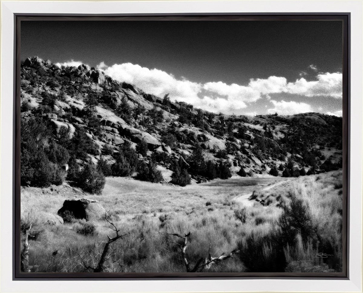 The Cove_Martins Cove