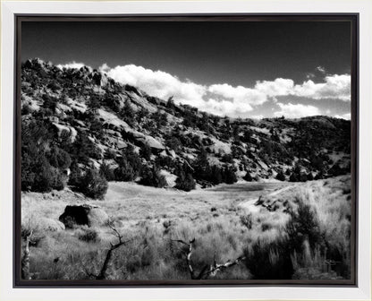 The Cove_Martins Cove