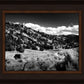 The Cove_Martins Cove