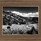 The Cove_Martins Cove