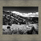 The Cove_Martins Cove