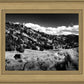 The Cove_Martins Cove