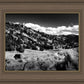 The Cove_Martins Cove