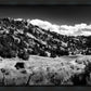 The Cove_Martins Cove