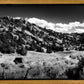 The Cove_Martins Cove